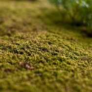 photos from videomaking Summer time