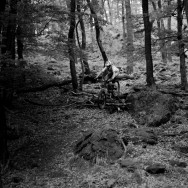 photos from videomaking Summer time