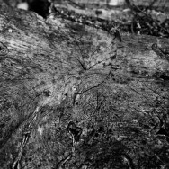 photos from videomaking Summer time