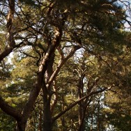 photos from videomaking Summer time