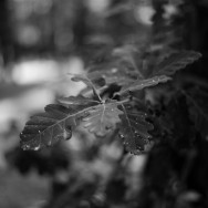 photos from videomaking Summer time