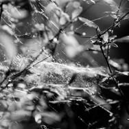 photos from videomaking Summer time