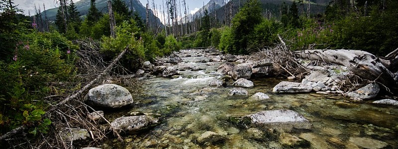 _DSC0002