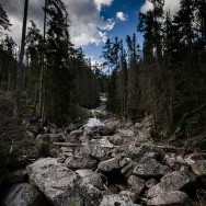 _DSC0011