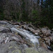 _DSC0022