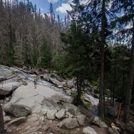 _DSC0023