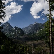 _DSC0030