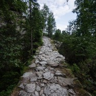 _DSC0049