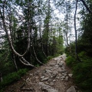 _DSC0073