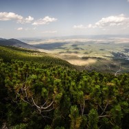 _DSC0076