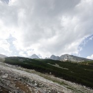 _DSC0089