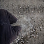 _DSC0101