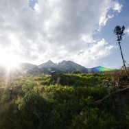 _DSC0110