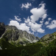 _DSC0131