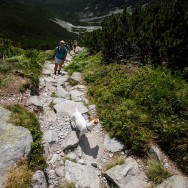 _DSC0149