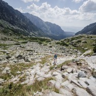 _DSC0178
