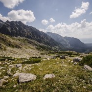 _DSC0182