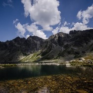 _DSC0197
