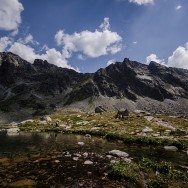 _DSC0198