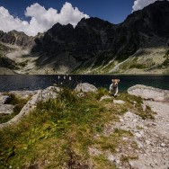 _DSC0212