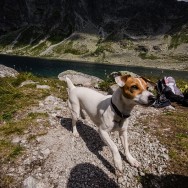 _DSC0213