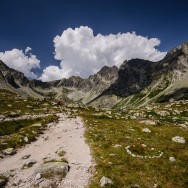 _DSC0231