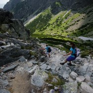 _DSC0264