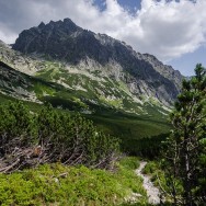 _DSC0288