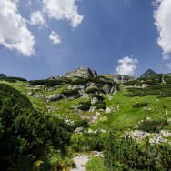 _DSC0291