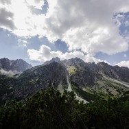 _DSC0299