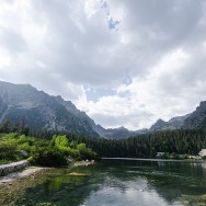 _DSC0318