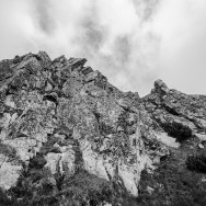 _DSC9784