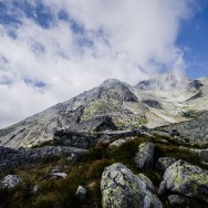 _DSC9788