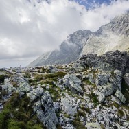 _DSC9798