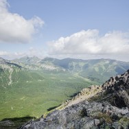 _DSC9804
