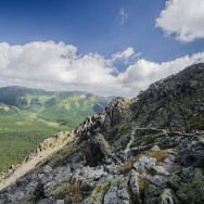 _DSC9806