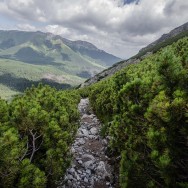 _DSC9842