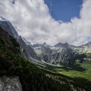 _DSC9854