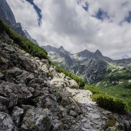 _DSC9859