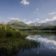 _DSC9922