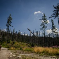 _DSC9925