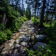 _DSC9933