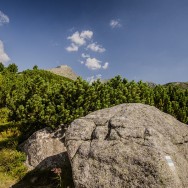 _DSC9941