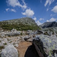 _DSC9948