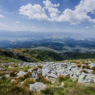 _DSC9950