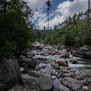 _DSC9988