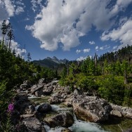 _DSC9990