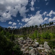 _DSC9991