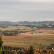 _D302562
