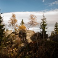 _D302622